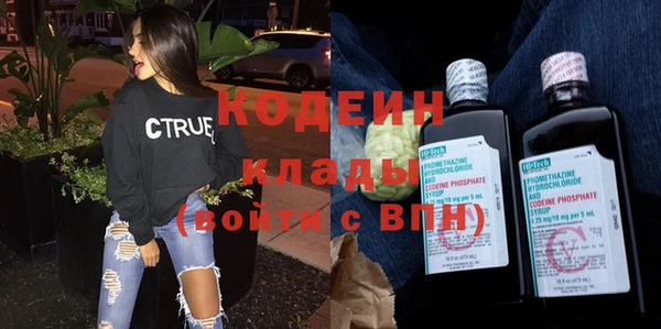 дмт Кодинск