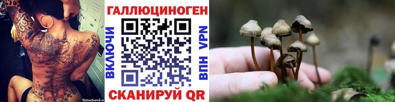 Псилоцибиновые грибы Psilocybe  Купить  Весьегонск 